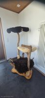 Naturholz Katzenbaum Katzenträumli 160 cm