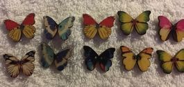 10 Schmetterlinge Knöpfe Aufnäher nähen Schmetterling