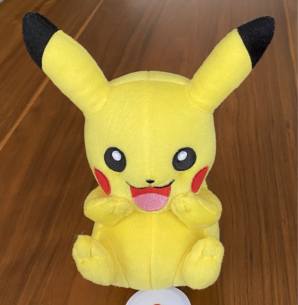 Pokémon Spielzeuge: Pokémon Pikachu aus Plüsch  20 cm – Gebraucht aus Ehrendingen von