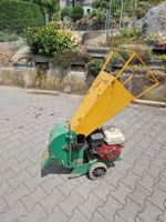 Garten häcksler Daltec 80 Caravaggi guter Zustand