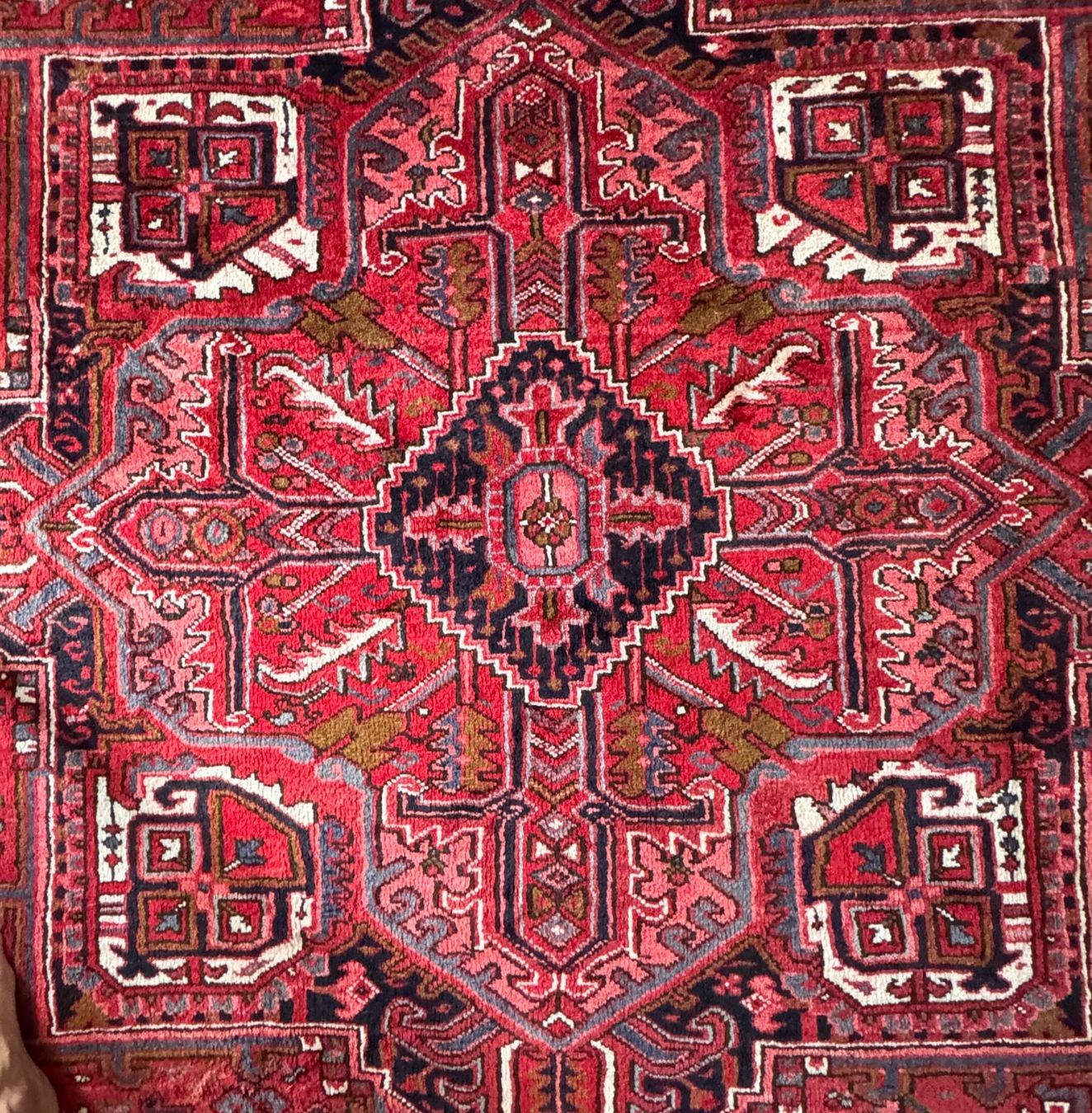 Tapis: Heriz Orienttepich 248 x 359 cm – Neuf (Voir description) à Frauenfeld par jenny058