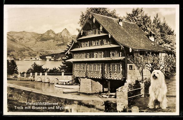 Cartoline postali: Treib am Vierwaldstättersee, mit Brunne – Usato da Berlin venduto da bartko-reher