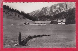 KUNKELSPASS MIT SESSAGIT, 3.9.1951
