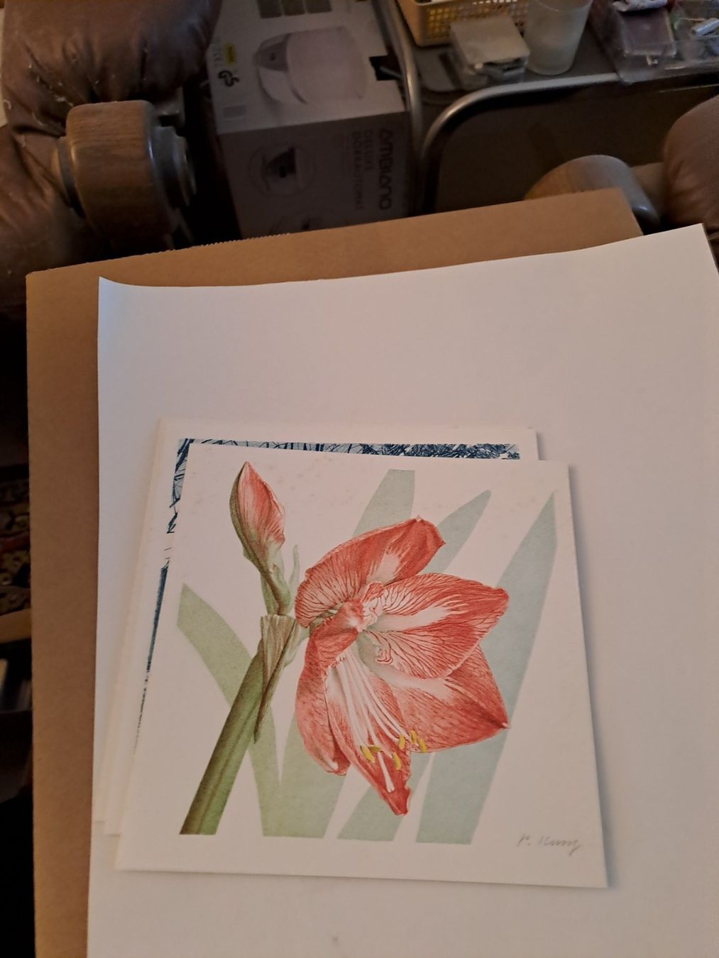 Grafiken & Lithographien: Steindrucklithos zu verkaufen – Neu und originalverpackt aus Ardez von hui_kkb6 1