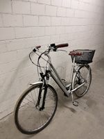 Allegro City E-Bike Silber mit Korb und Display