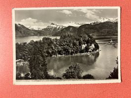 Ansichtskarte Hertenstein mit See und Bergen Kv.Jan 1953   