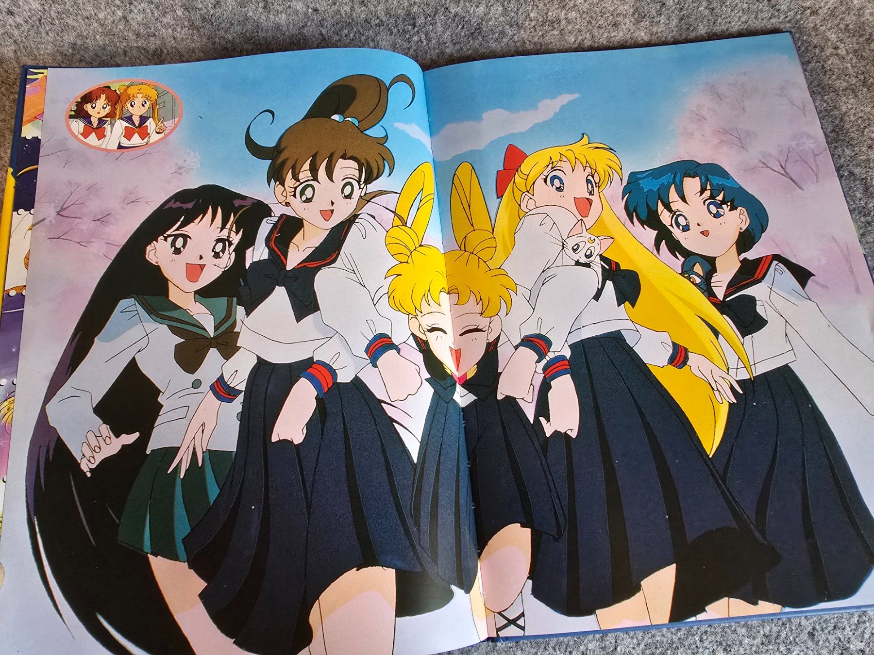 Livres: Sailor Moon Artbook Luna Edition – D'occasion à Wattwil par Yoshi.97 2