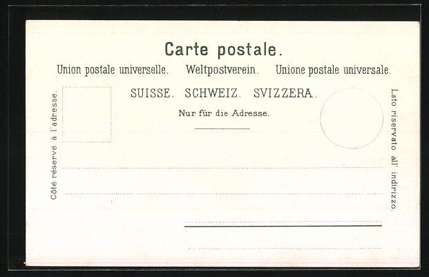 Cartoline postali: Lichtensteig, Ortsansicht aus der Vogels – Usato da Berlin venduto da bartko-reher 1