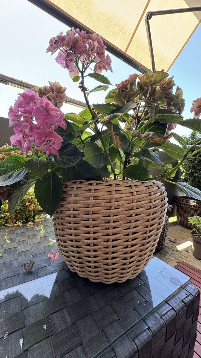 Vasi per fiori: Rattan Planter Pots (2) – Nuovo (secondo la descrizione) da Unterentfelden venduto da che_9xcp 6