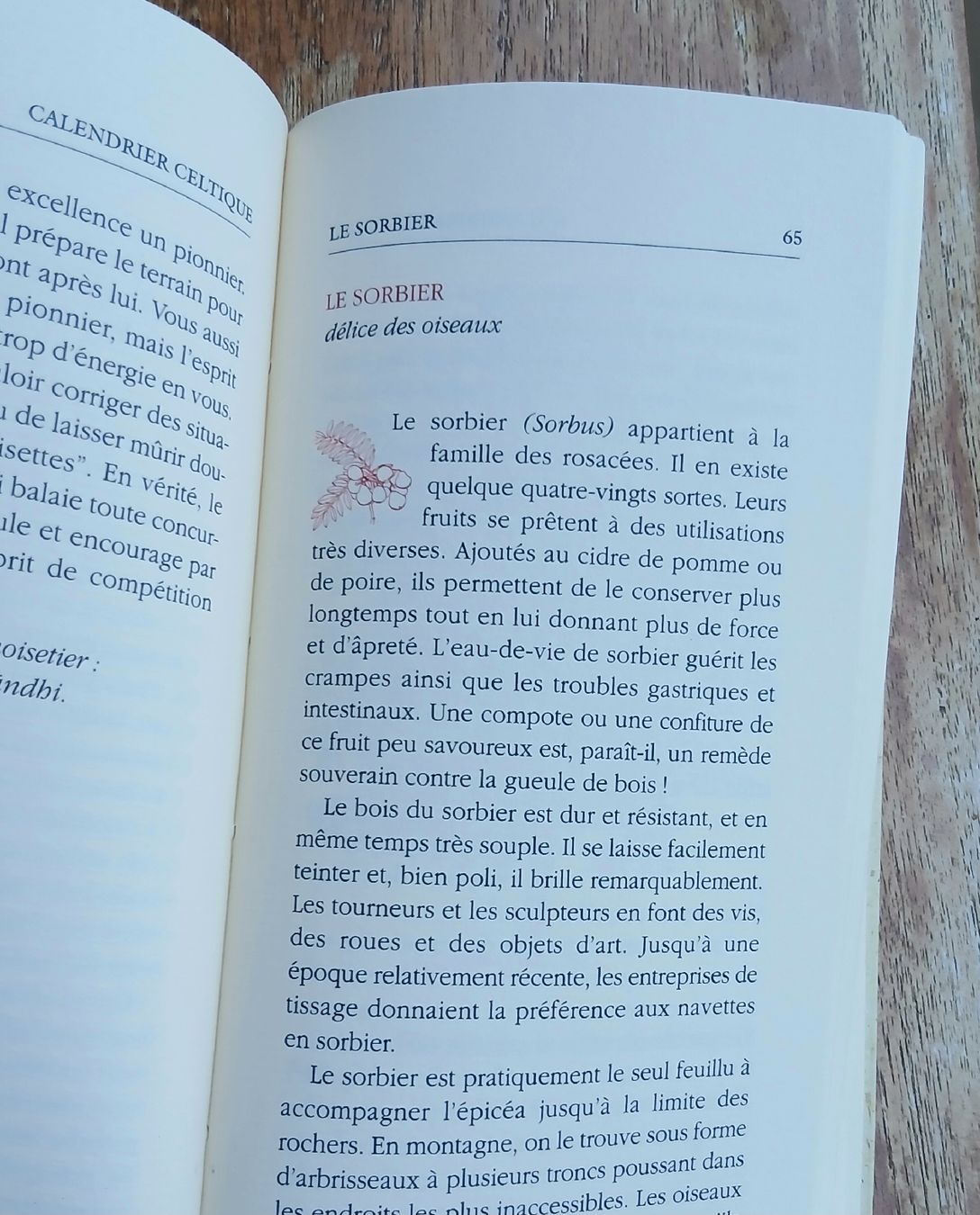 Libri:  Calendrier Celtique - Michaël Vescoli  – Usato da Sciernes-d'Albeuve venduto da Dojo004 3