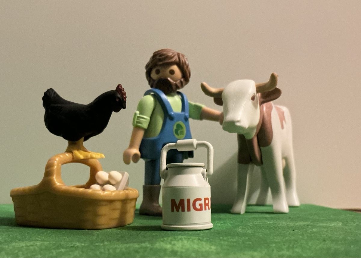 Playmobil Giocattoli: Playmobil Bauernhof-Set – Nuovo (secondo la descrizione) da Sursee venduto da Mantaria 1