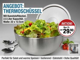 Thermoschüssel mit Kunststoffdeckel, 2.5Liter, 22 x 12,5 cm
