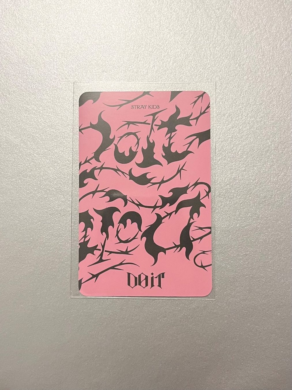 Carte collezionabili: PC Photocard Stray Kids Unit Changbin an Han DO IT DO VER – Usato da Zürich venduto da eloises_lens 1