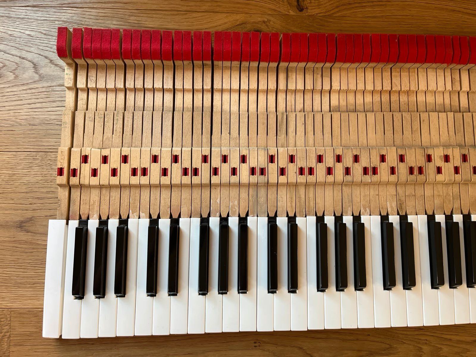 Rhodes Strumenti musicali: Fender Rhodes Mark 1 73 Keys, Tasten – Usato da Villigen venduto da chriwo 2