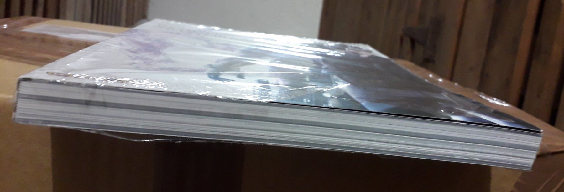Bücher: Resident Evil 6 Artworks – Neu und originalverpackt aus Basel von QUER13 2