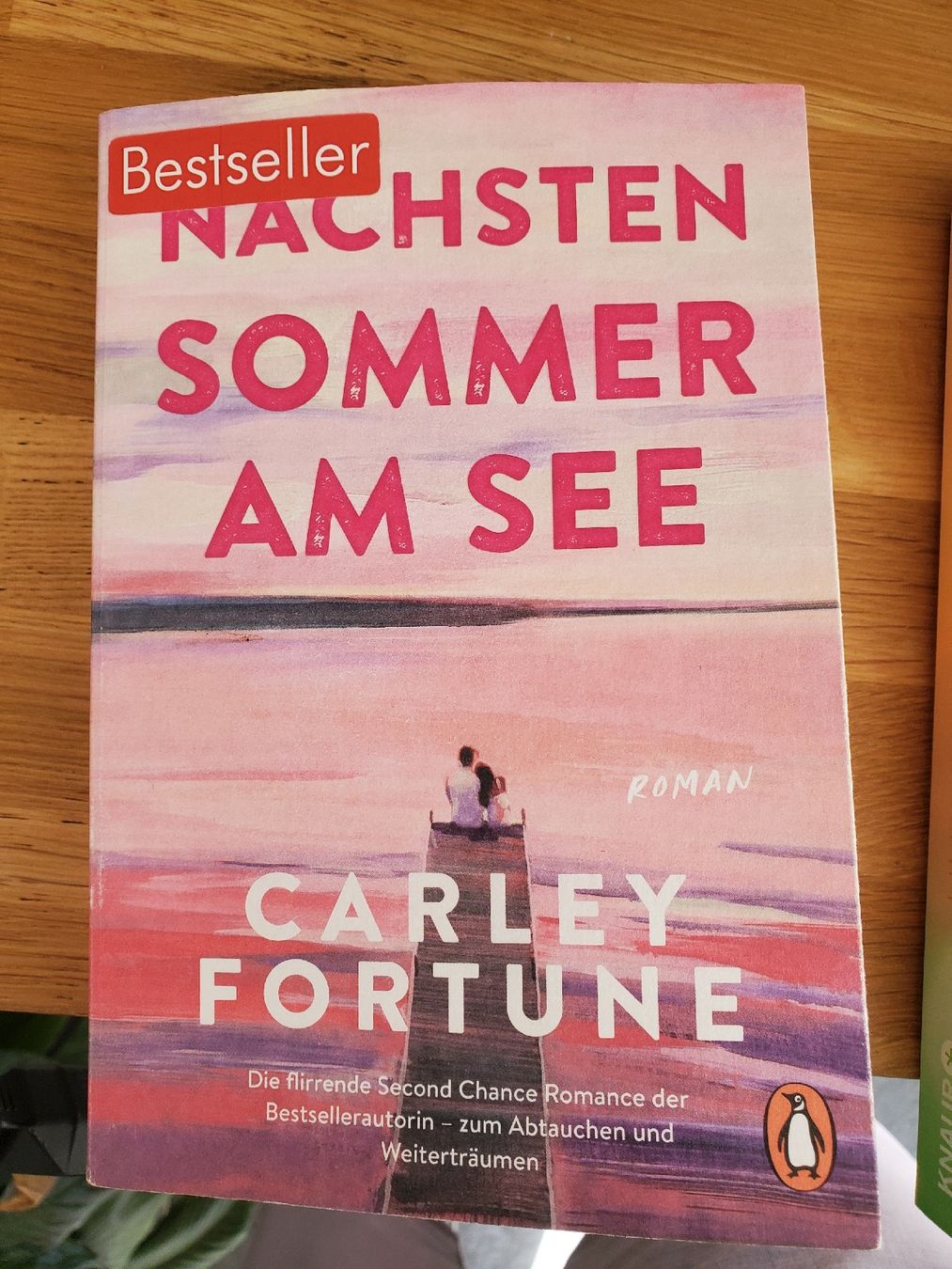 Libri: Nächsten Sommer am See, Carley Fortune – Usato da Schwarzsee venduto da dergli01