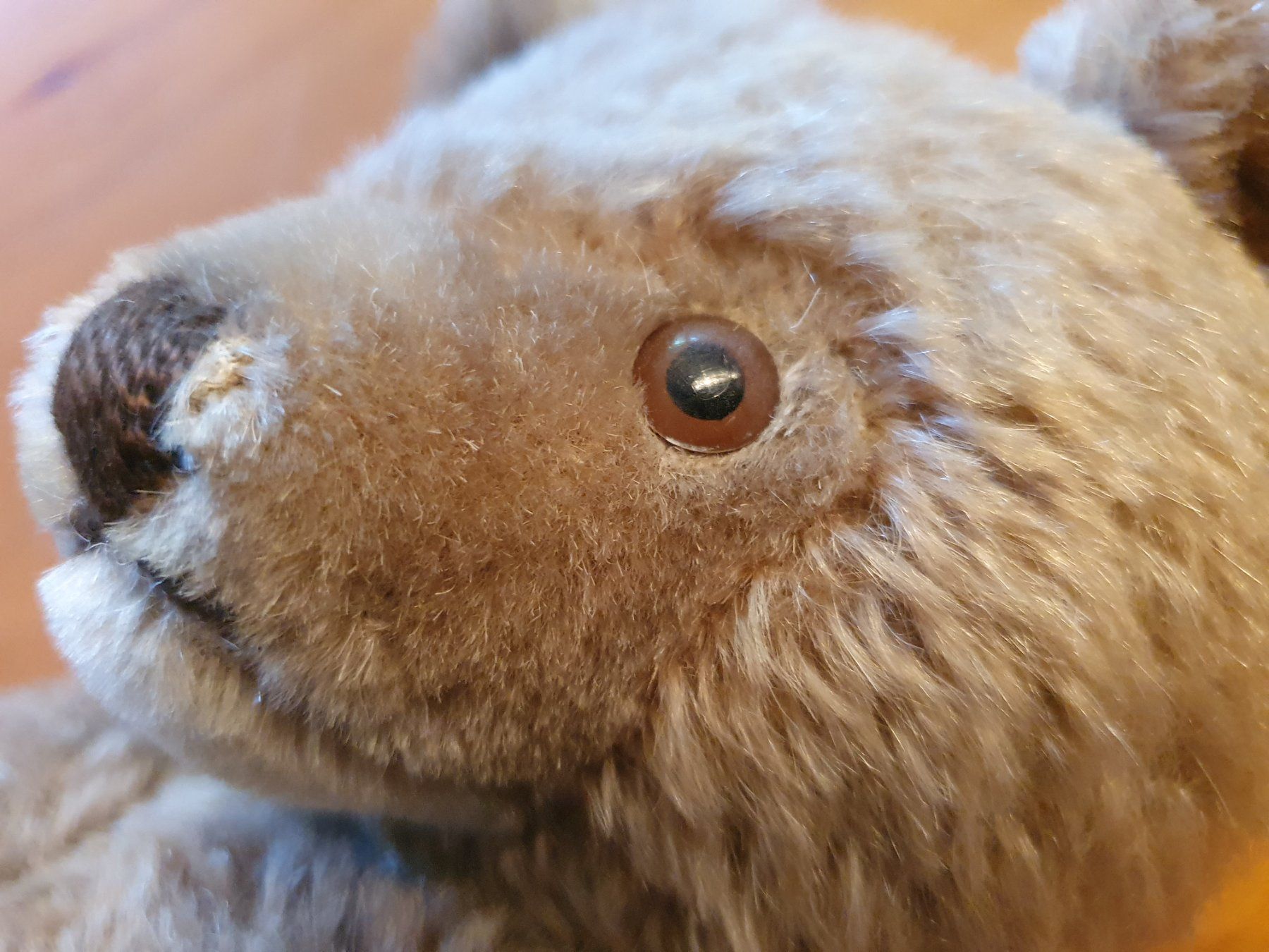 Giocattoli: Antiker Teddybär – Usato da Thalwil venduto da meinverkauf 1