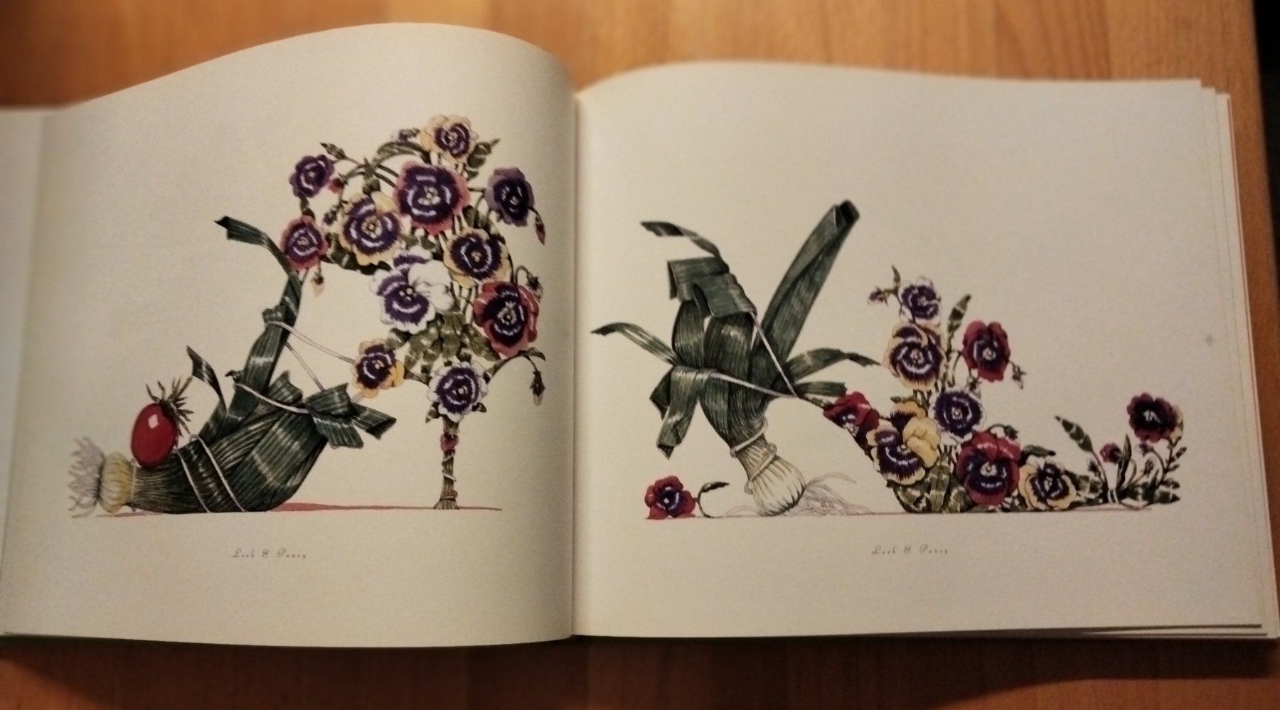 Bücher: The Botanical Footwear Dennis Kyte – Gebraucht aus Niederglatt ZH von Siegfried67 8