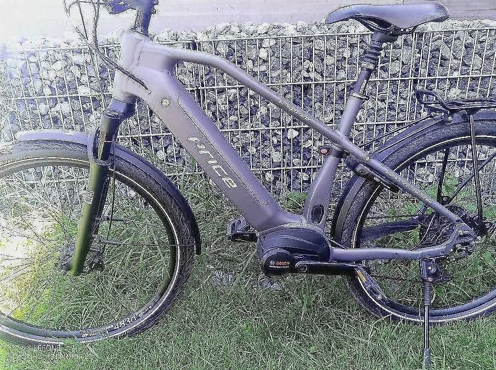 Biciclette: Price E Speed  E Bike Bosch Neuwertig – Usato da Staufen venduto da fbe_v8pv