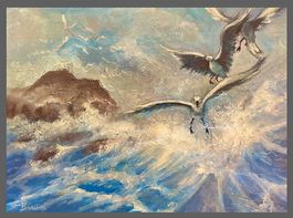 Sergio: mouettes