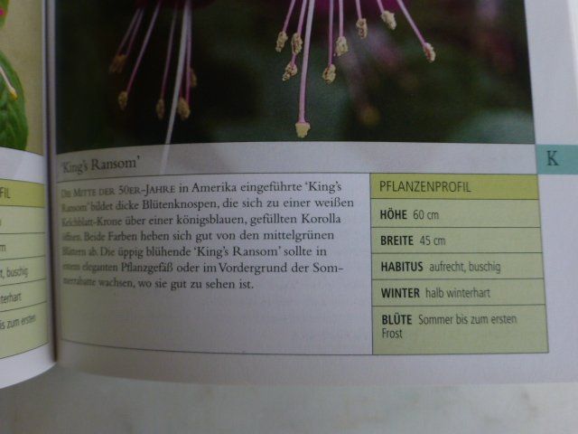 Libri: Fuchsien Pflanzenratgeber - Garten kompakt – Usato da Füllinsdorf venduto da Kapellie 6
