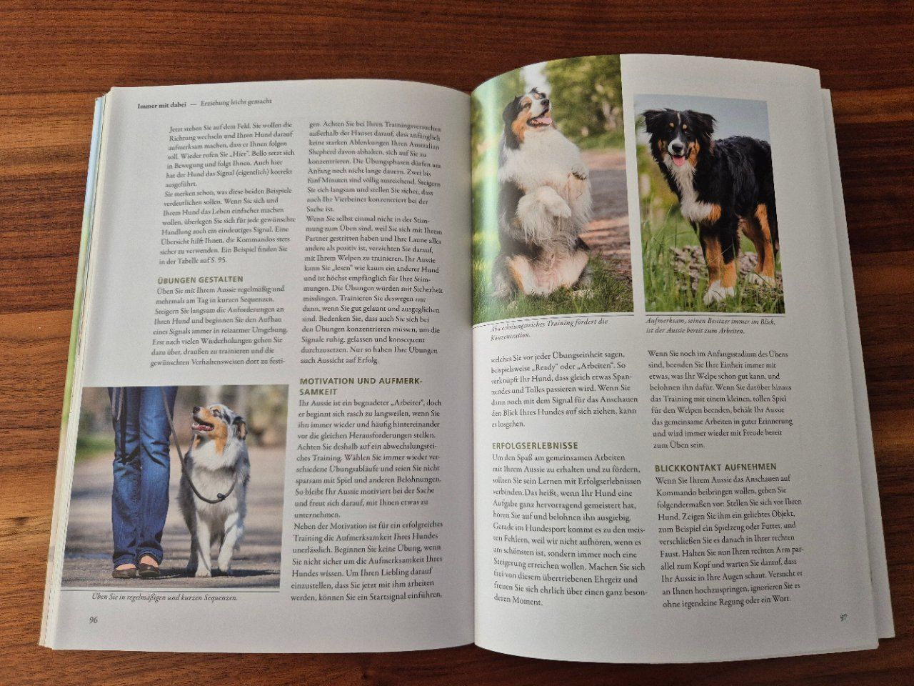 Libri: Astralian Shepherd Hundebuch neuwertig – Usato da Lalden venduto da aneleh58 3
