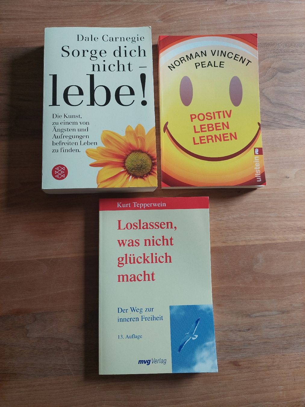 Libri: Motivations Bücher Set: Carnegie, Peale, Tepperwein – Usato da Brunnen venduto da Livianda