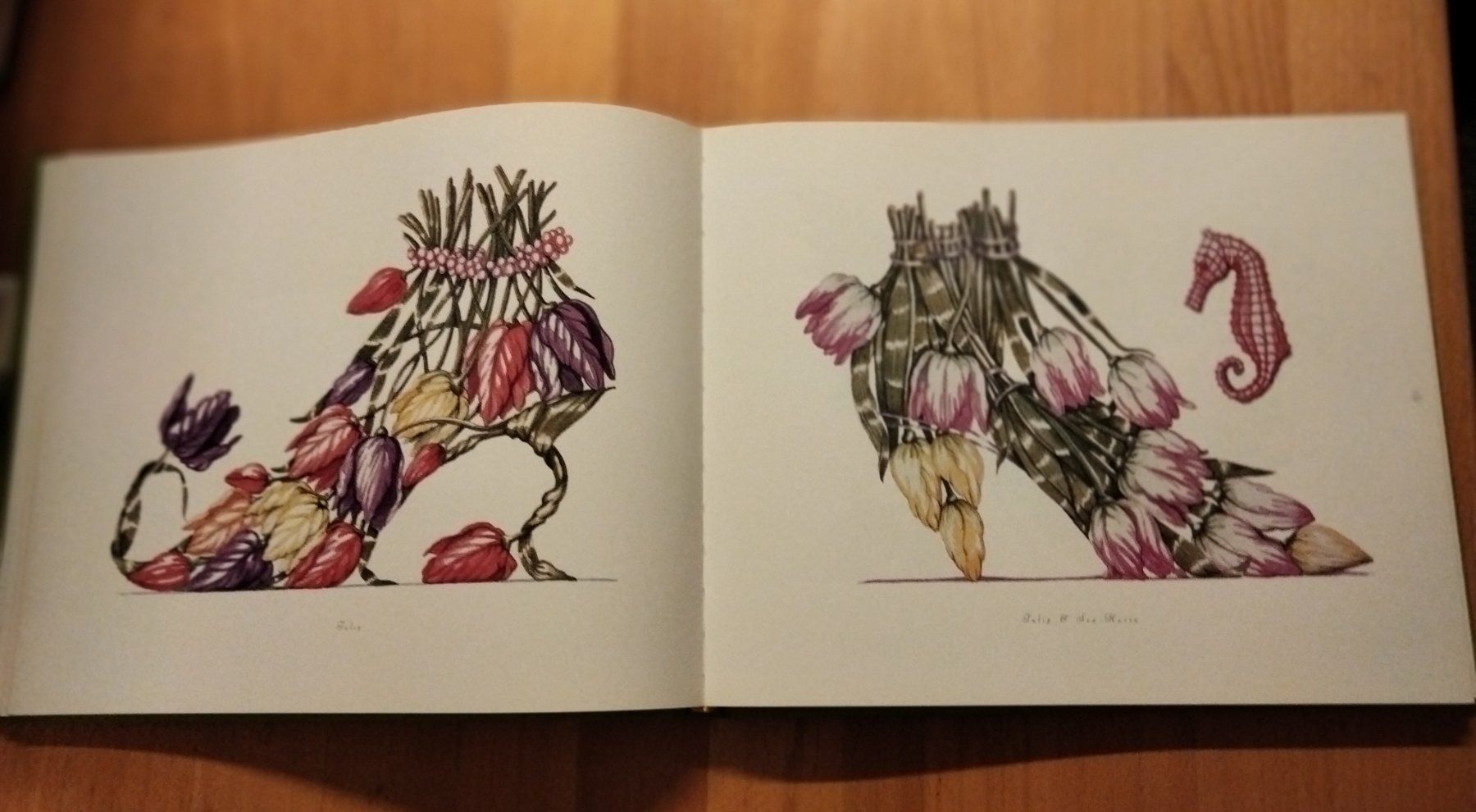 Bücher: The Botanical Footwear Dennis Kyte – Gebraucht aus Niederglatt ZH von Siegfried67 7