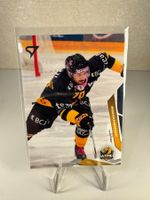 358 Matteo Romanenghi HC Ajoie SportZoo 2025/26