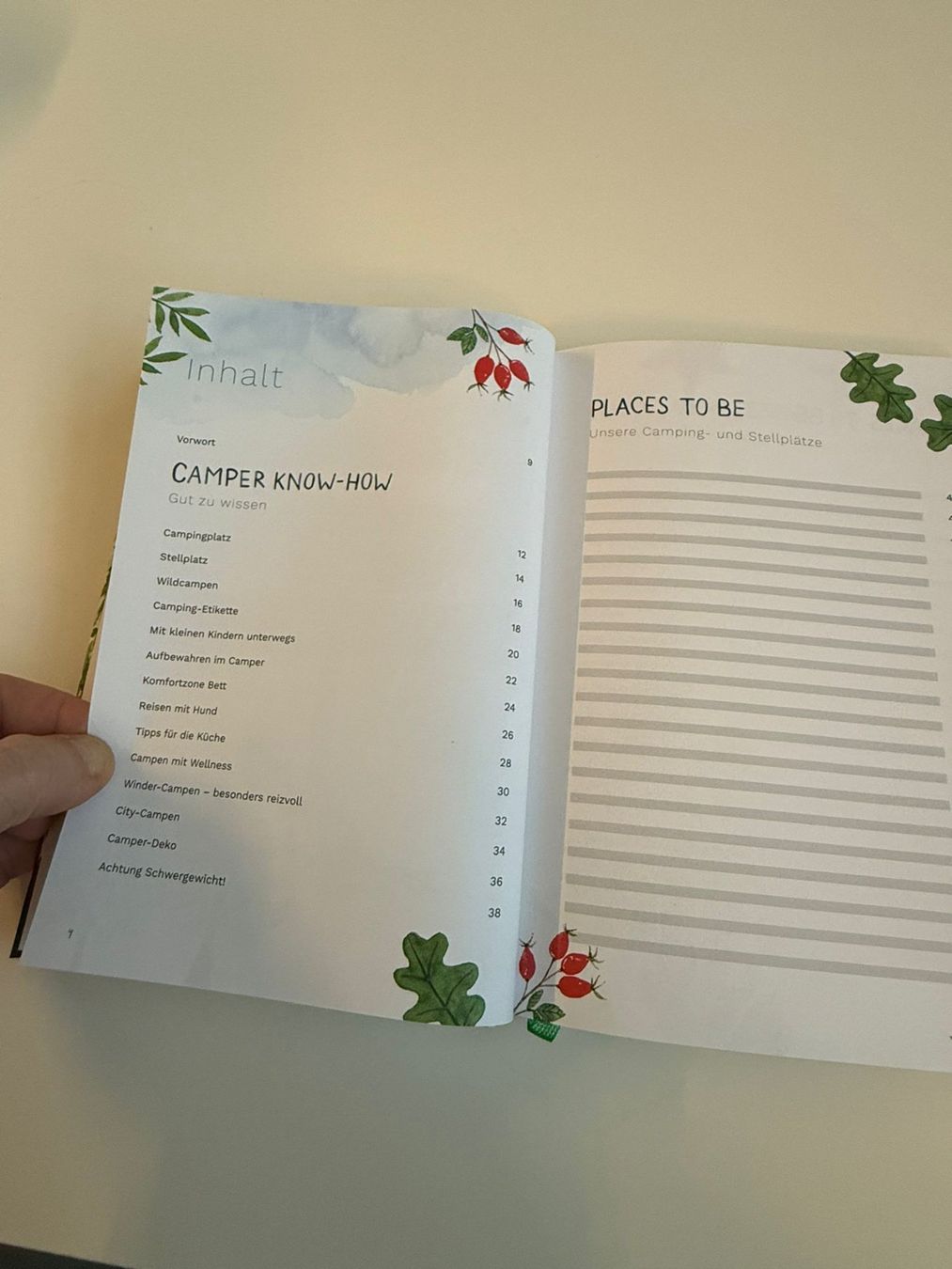 Libri: Mein Camper Logbuch – Nuovo (secondo la descrizione) da Zweisimmen venduto da Mousie 1