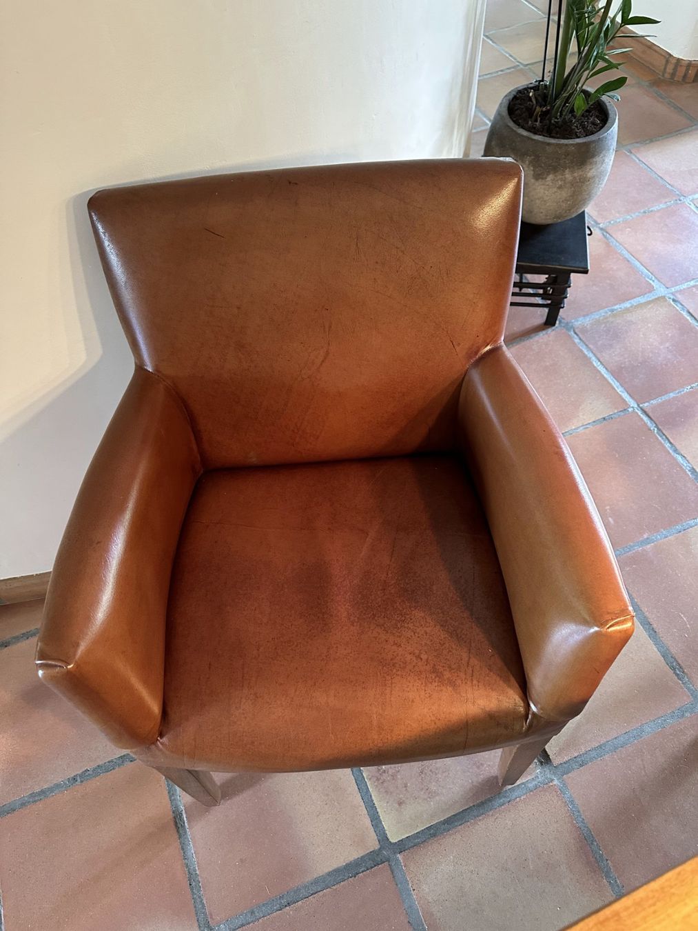 Interio Chaises: Esszimmerstühle 4x Büffelleder – D'occasion à Dübendorf par gruenis12 1