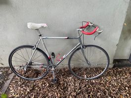 Giant Rennvelo (Stahlrahmen)