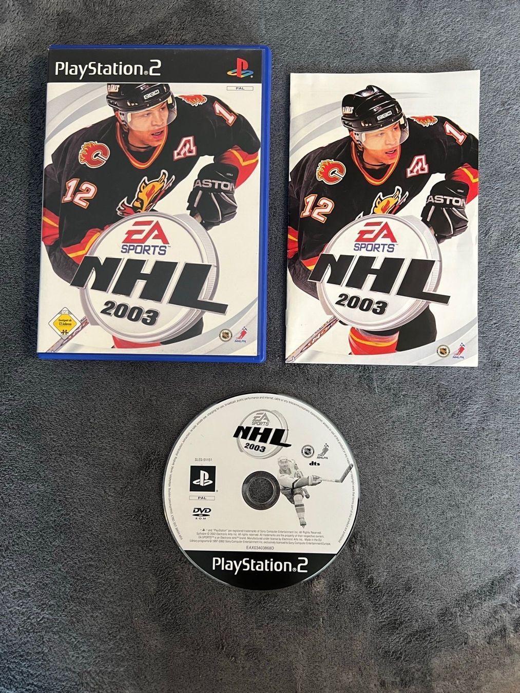 Sony Giochi: PlayStation 2 NHL 2003 – Usato da Regensdorf venduto da scheissspiel