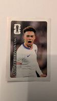 Panini Cola Karte Antonee Robinson