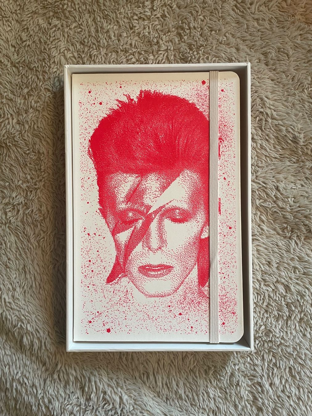 Blocchi: Moleskine David Bowie Limited Edition – Nuovo (secondo la descrizione) da Zürich venduto da mollister 3