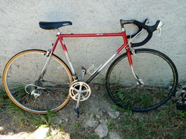 Rennvelo Vintage Bertin 14 gange 28" 54cm