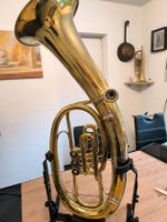 Tenorhorn Cyprian Aarau