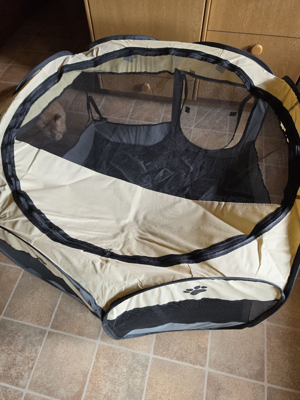 Gabbie, trasporto & Sicurezza: Hundebox Faltbar – Nuovo (secondo la descrizione) da Schönried venduto da Gti89