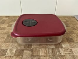 Tupperware für die Mikrowelle