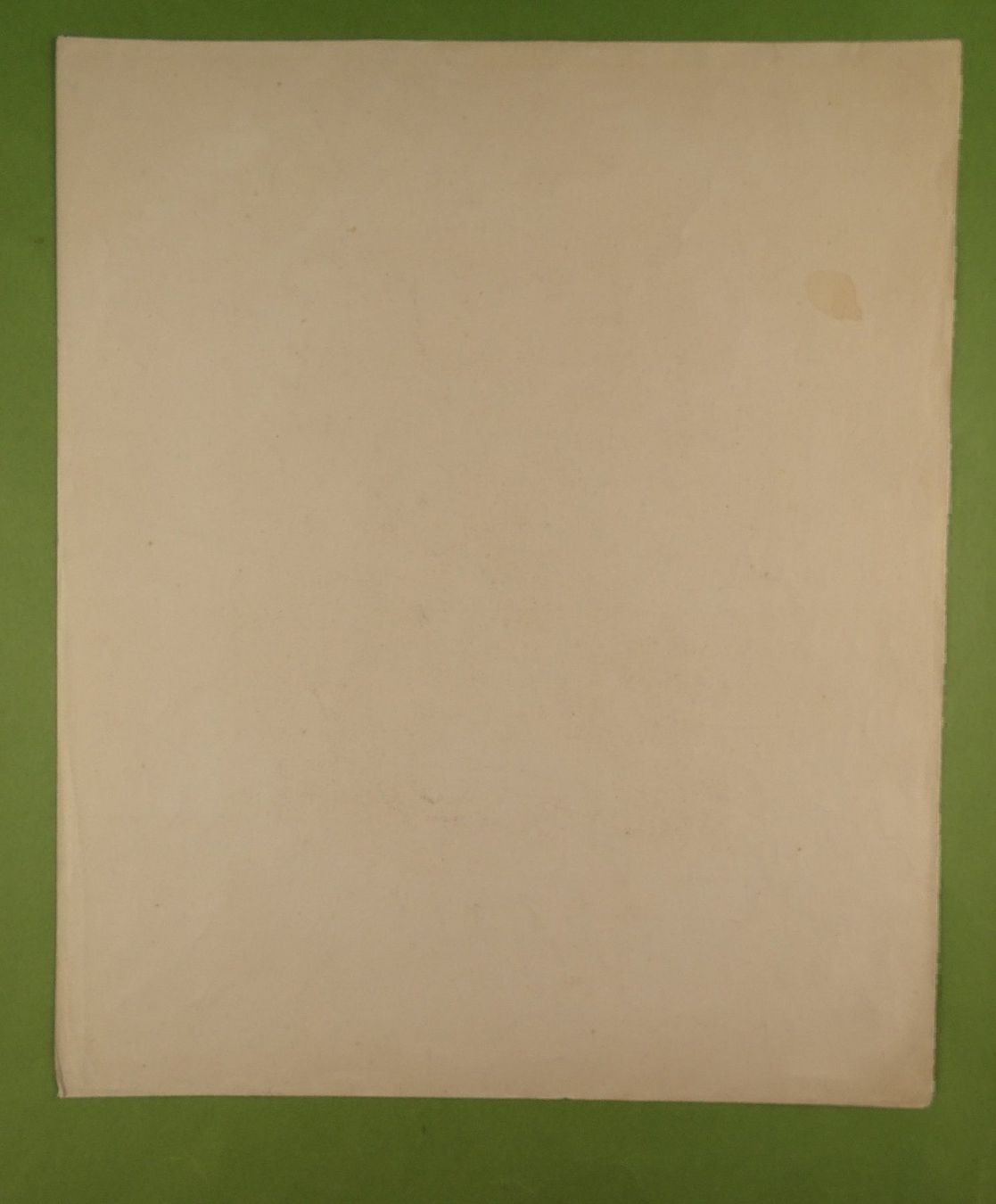 Incisioni: MEIRINGEN ZIEGENHIRTE, LITHOGRAPHIE – Usato da Grüningen venduto da Kartensammler 9