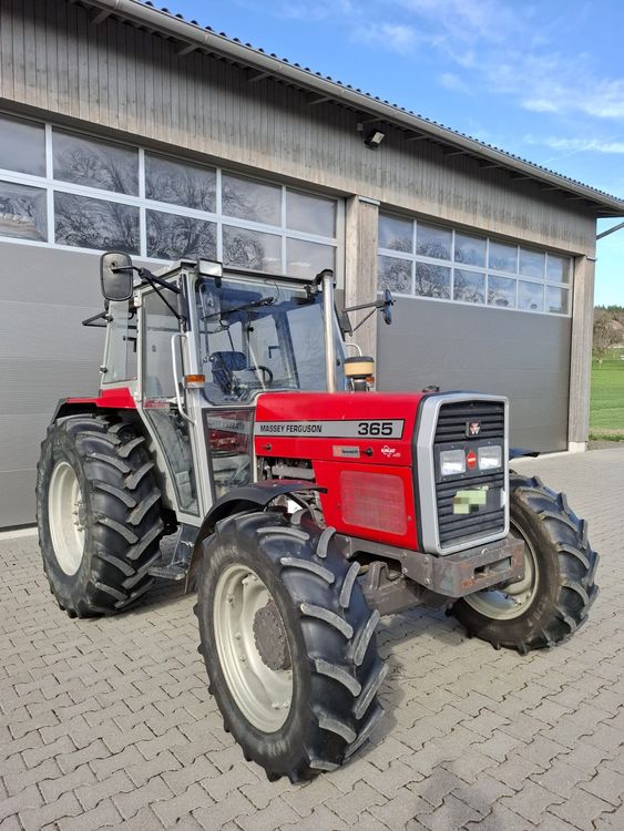 Traktor Massey Ferguson MF 365 (Gebraucht) in Schongau für CHF 20000 ...