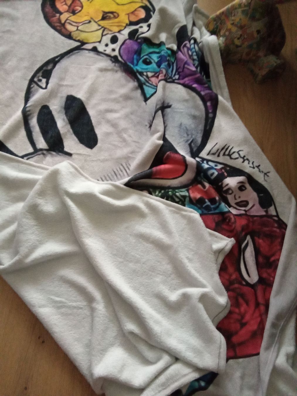 Disney Coperte: Kuscheldecke im Disney Style – Usato da Oberengstringen venduto da Pepper6 1