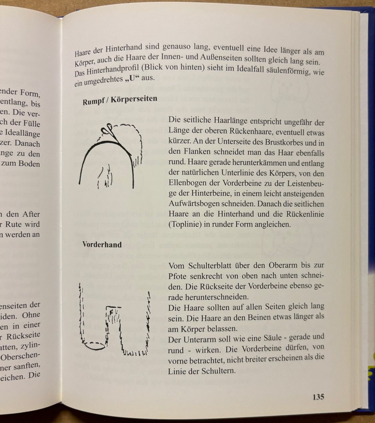 Libri: Sausen Monika, Bichon Frisé – Nuovo (secondo la descrizione) da Sarnen venduto da Livres 8