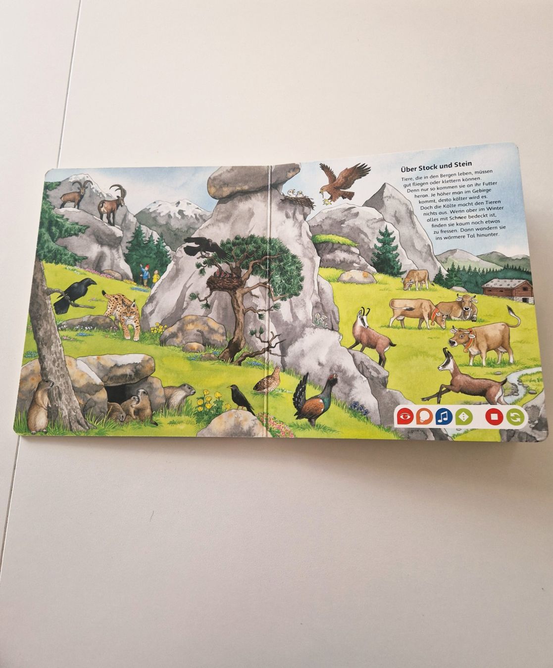 Tiptoi Spiele: tiptoi Bilderlexikon Tiere – Gebraucht aus Stüsslingen von white_angel86 1