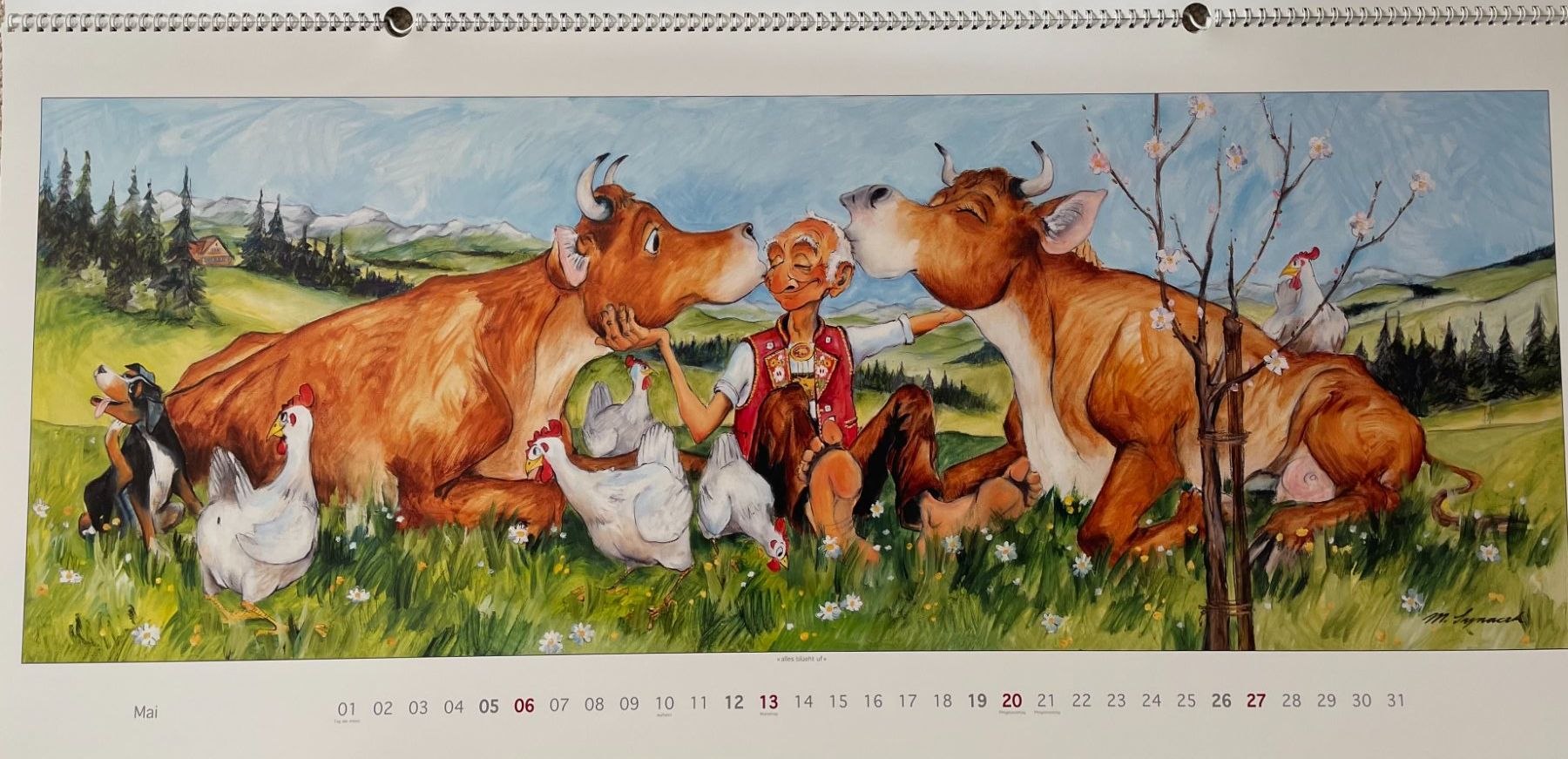 Calendari: Synacek Kalender – Usato da Rümlang venduto da Boehneli7 5