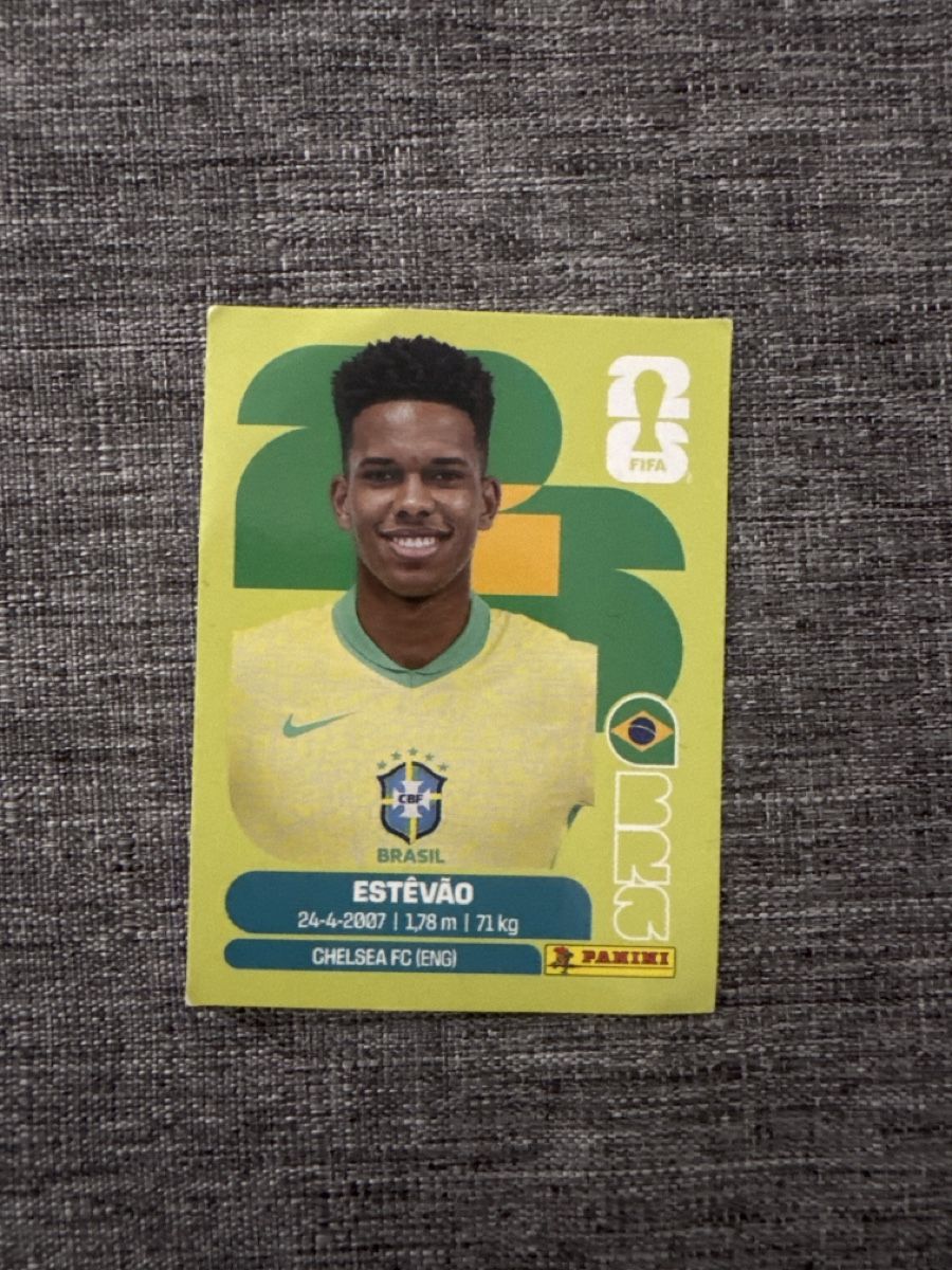 Panini Sammelbilder & Trading cards: Panini WM - BRA 20 – Neu und originalverpackt aus Fribourg von wor_lp9t