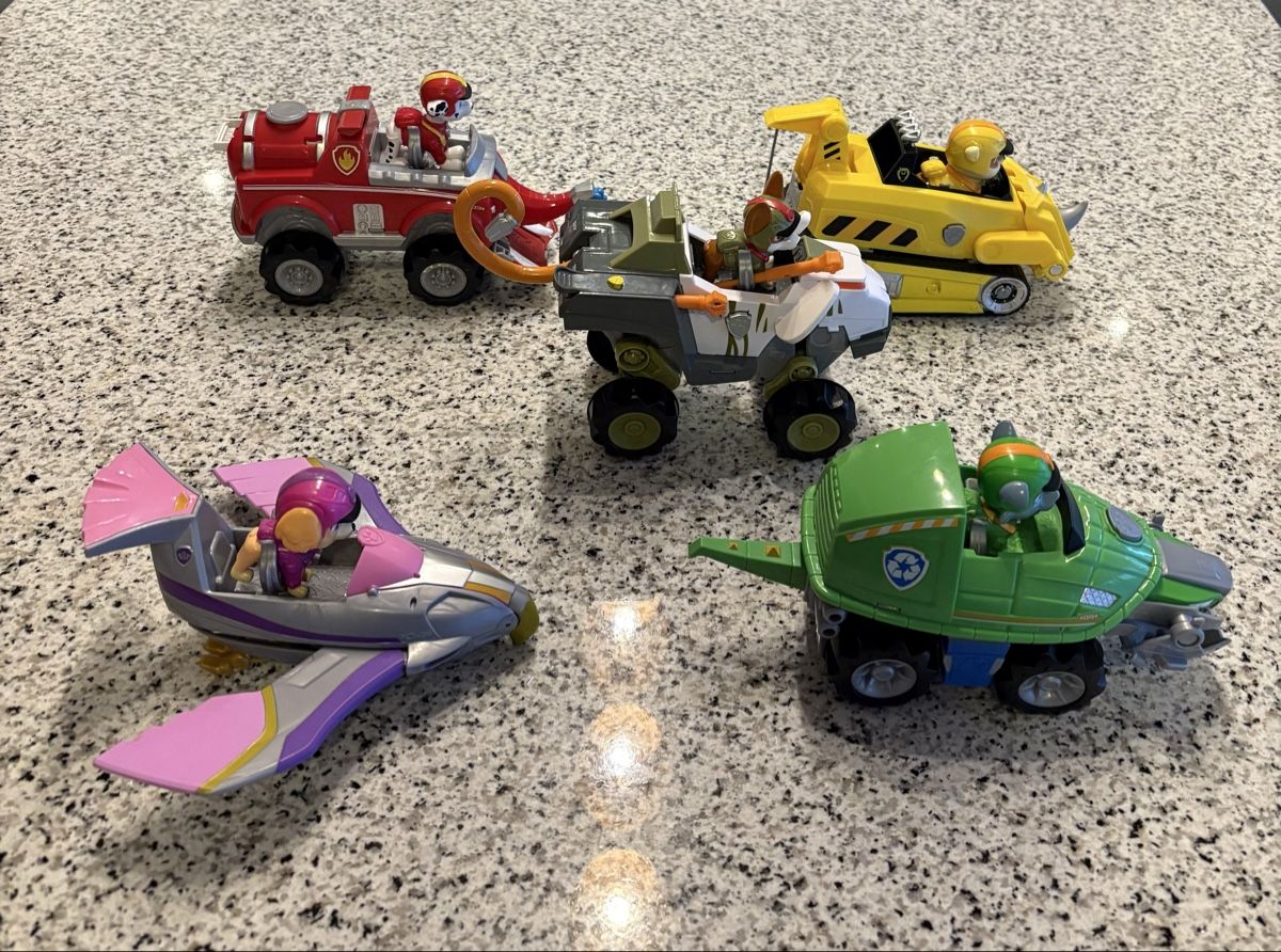 Giocattoli: PAW Patrol Set Jungle Pups – Usato da Rickenbach LU venduto da mel_xgr5