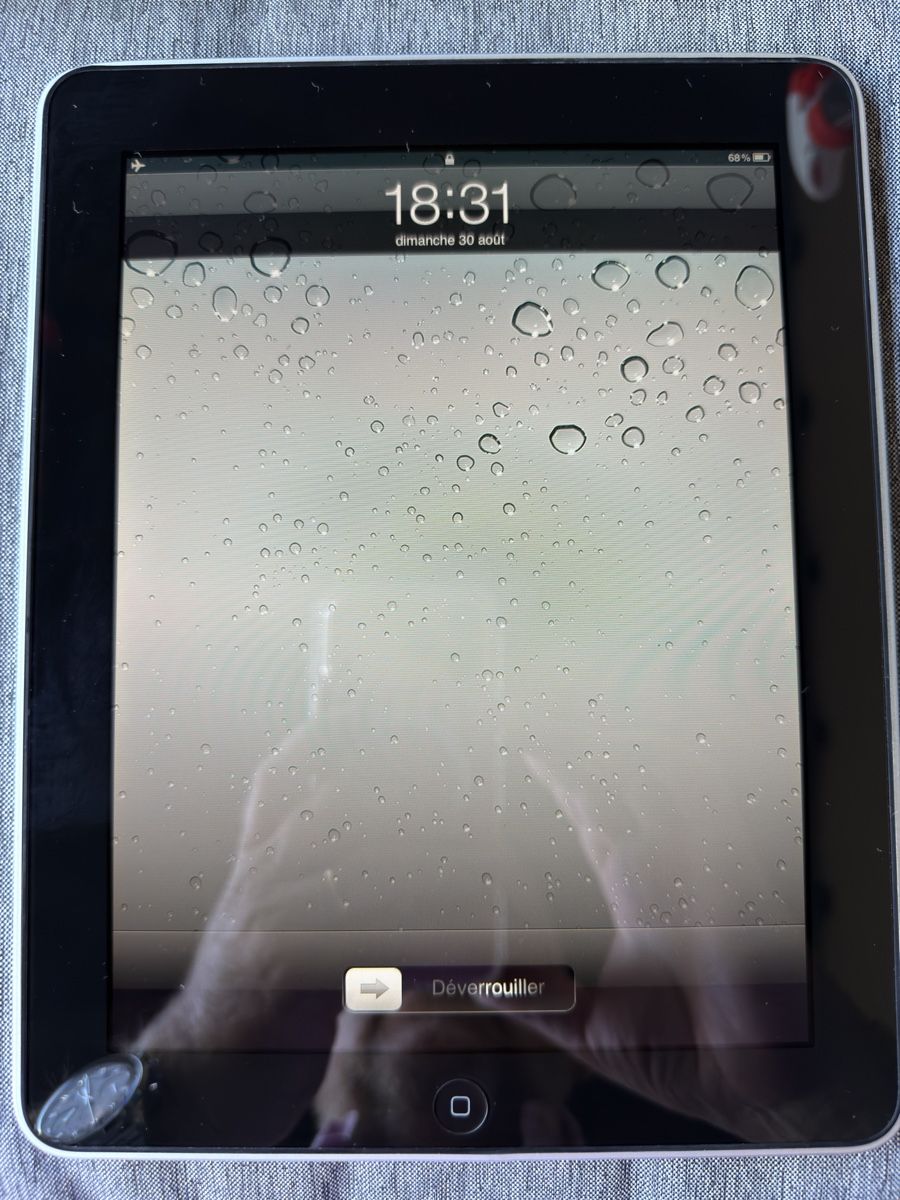 Apple Tablet PC: iPad 1 - 64 GB - gris  – Usato da Troinex venduto da Tschoop