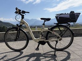 E-Bike FLYER Gotour 5 7.00 mit Korb, Akku defekt