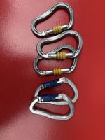 5 Karabiner (3x Schraubverschluss, 2x Blaue Verriegelung)
